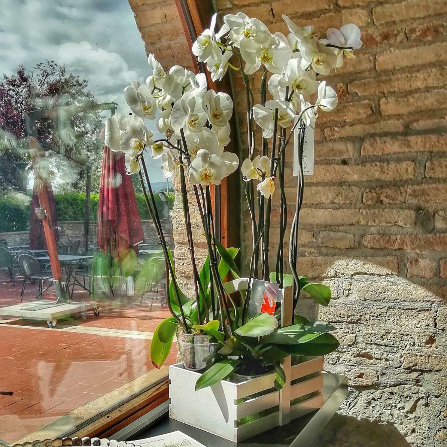אסיסי Locanda Giustini מראה חיצוני תמונה